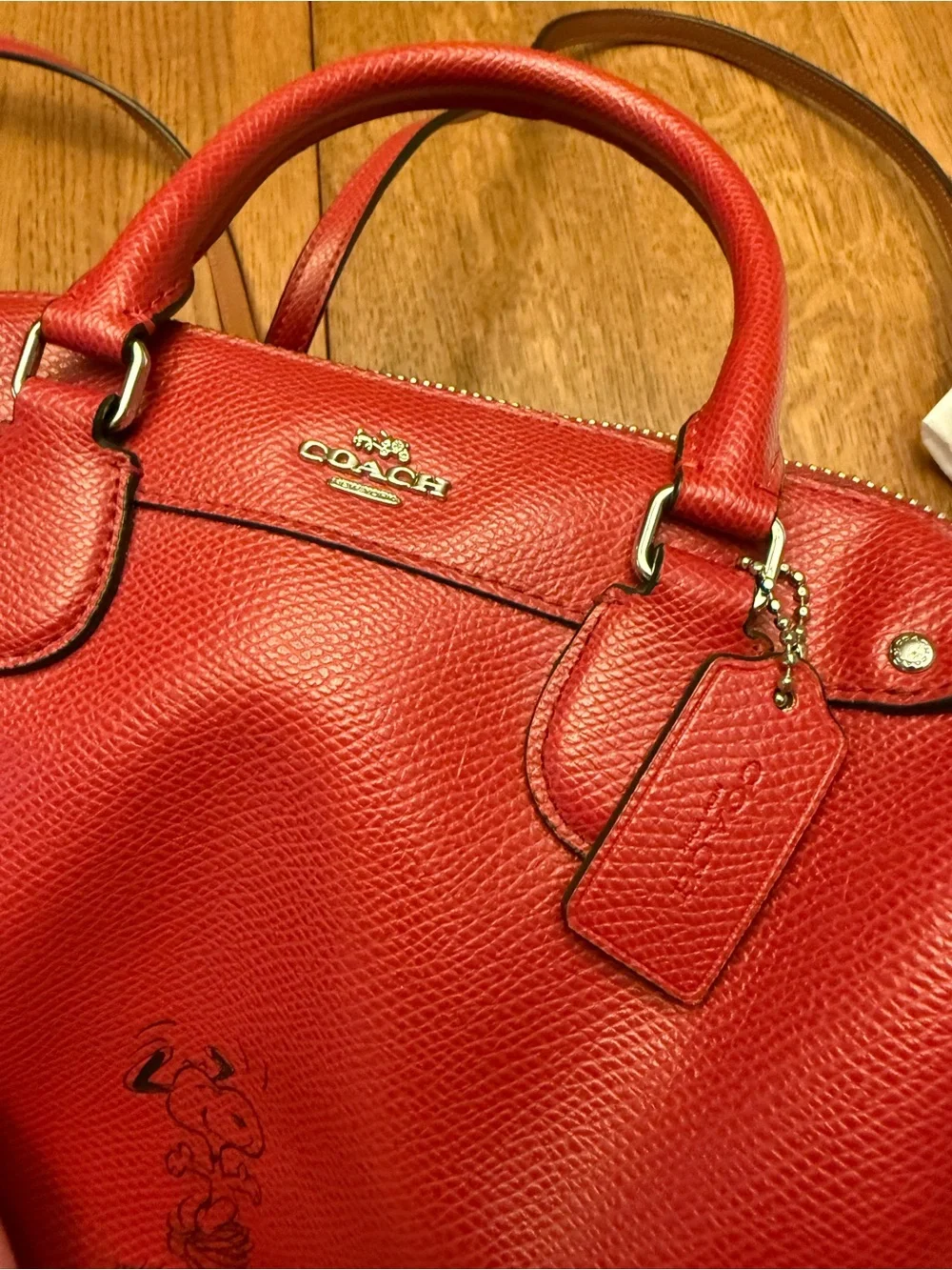 Coach snoopy peanuts